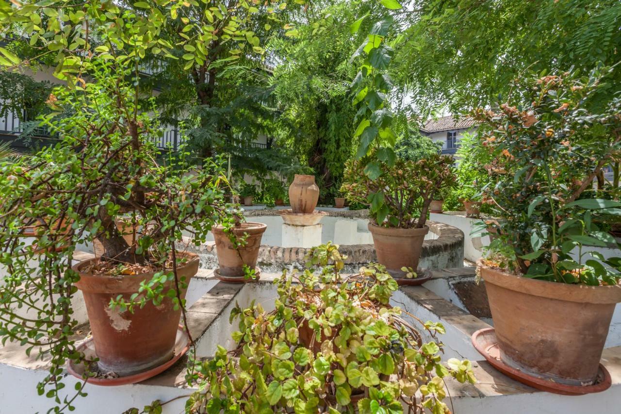 Apartamentos Gadi Corral Siglo XVI Seville Exterior photo